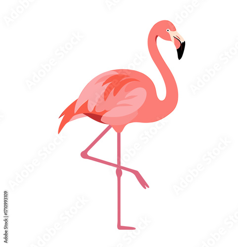 Pink flamingo standing on one leg against white background  