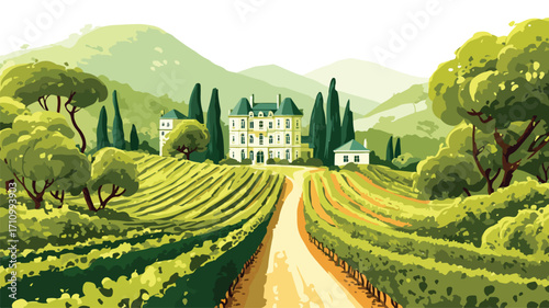 Stunning Panoramic Vineyard Hills with Grape Rows