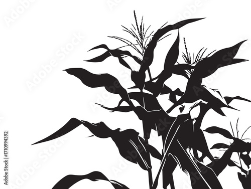 Decorative corn stalk silhouette organic farming element