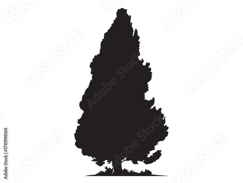 Cypress tree silhouette vector illustration natural landscape