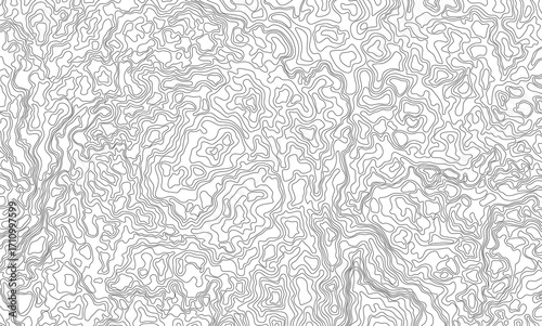 Fotografija An abstract black-and-white pattern resembling a topographic map