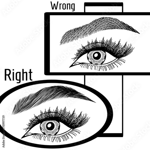 Illustration with woman's eyes, eyelashes and eyebrows. Makeup Look. Tattoo design. Logo for brow bar or lash salon. Wrong and right coloring care. Set of well-groomed and shaggy eyebrows.