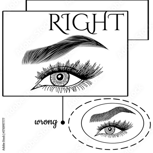 Illustration with woman's eyes, eyelashes and eyebrows. Makeup Look. Tattoo design. Logo for brow bar or lash salon. Wrong and right coloring care. Set of well-groomed and shaggy eyebrows.