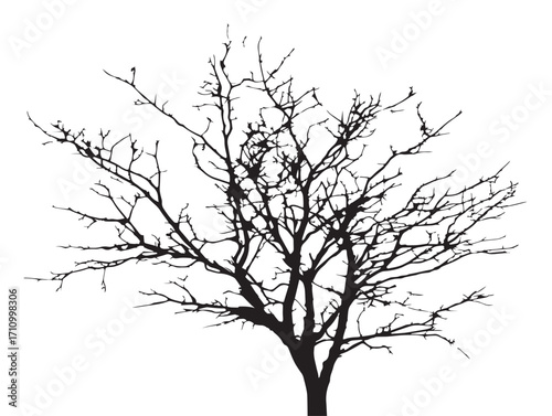 Isolated dead tree silhouette with bare branches illustration