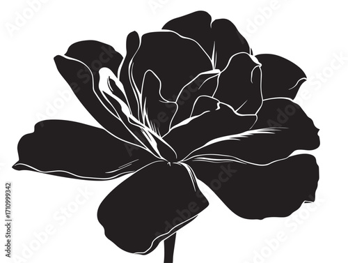 Tableau sur toile Decorative floral desert rose silhouette for exotic design work