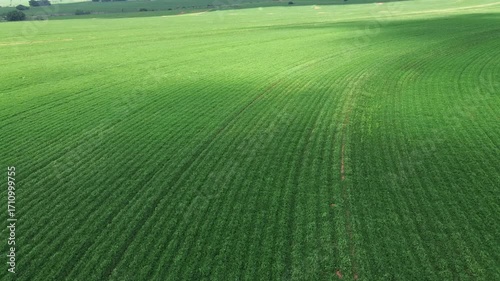 Drone tour of a Peanut Farm