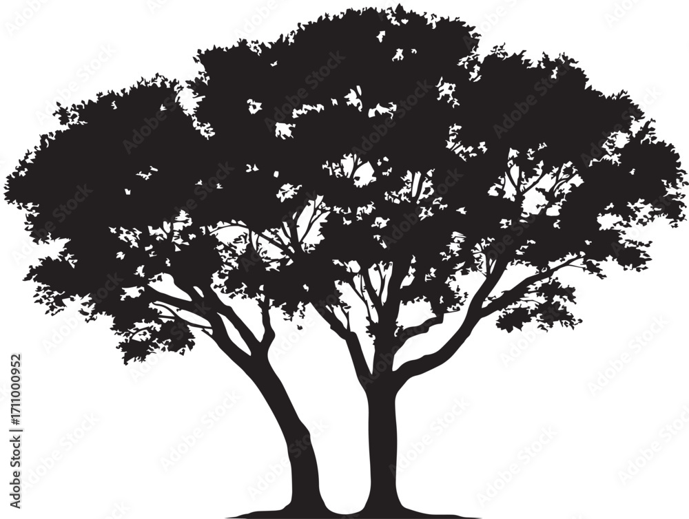 Fototapeta premium Bold double trunk tree silhouette design for dramatic artwork
