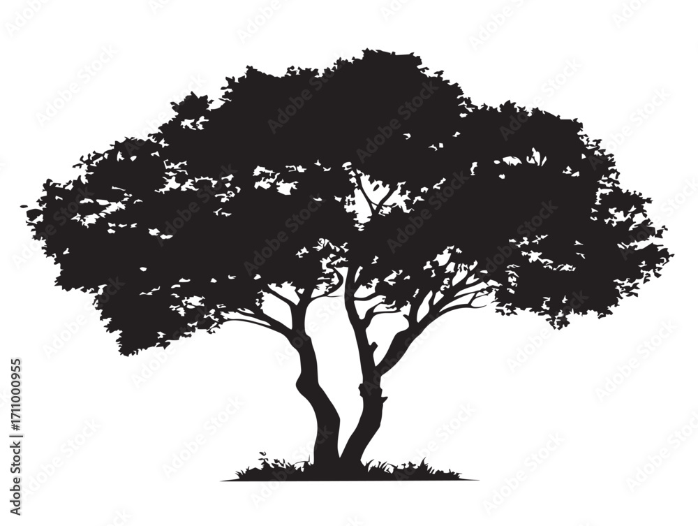 Fototapeta premium Twin trunk tree silhouette isolated for artistic vector art