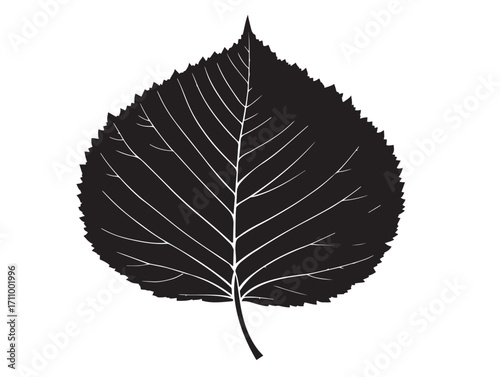 Simple elm leaf silhouette vector illustration for natural design