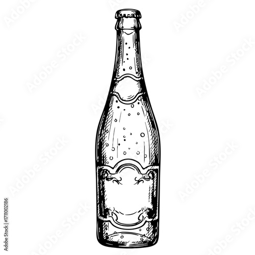 Vintage sketch of a sparkling cider bottle  
