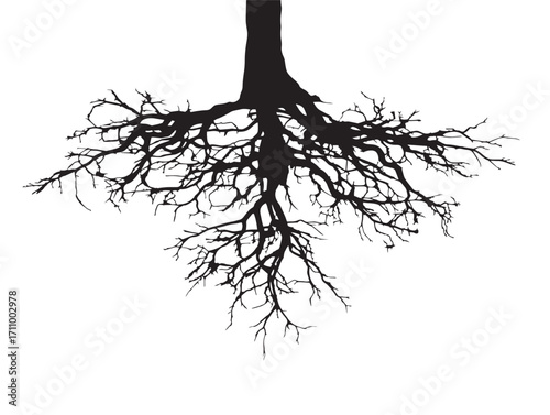 Intricate entangled root system silhouette vector for natural artwork