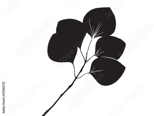 Elegant eucalyptus leaf silhouette vector design for natural themes