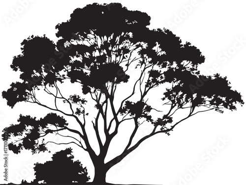 Decorative nature inspired eucalyptus silhouette vector illustration set