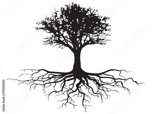 Decorative exposed woodland tree roots silhouette vector illustration pack