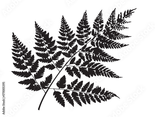 Elegant fern frond silhouette vector illustration detailed artistic style