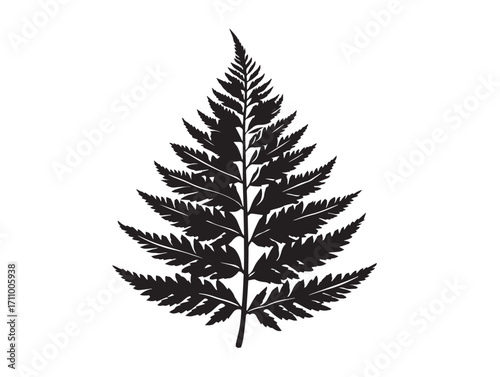 Natural fern leaf silhouette vector illustration detailed black design