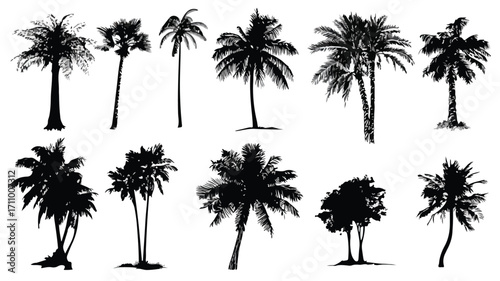 Tropical Palm Tree Silhouettes Collection for Design Projects