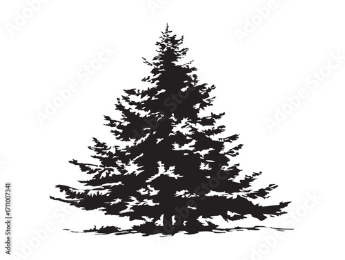 Beautiful fir tree winter silhouette vector illustration natural artwork