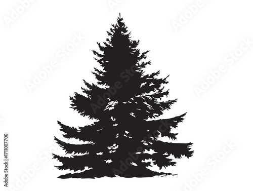Decorative evergreen fir tree silhouette vector illustration seasonal art