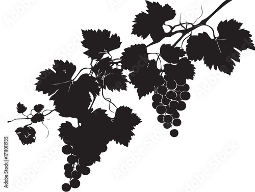 Beautiful Grapevine Silhouette Artwork for Rustic Nature Decoration