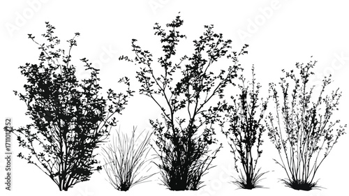 Professional Set of Bush, Grass, Shrub, Herb Silhouette Vector Illustration for Design