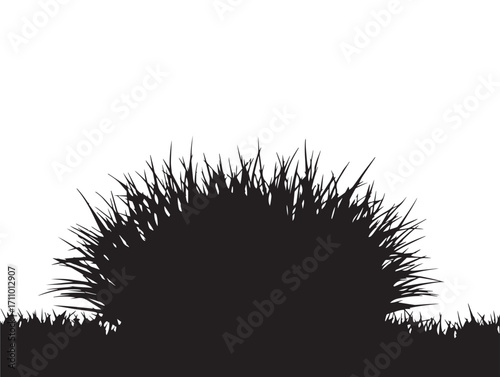 Beautiful Grass Tuft Silhouette Vector for Rustic Stock Illustrations
