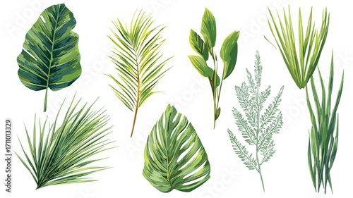 Lush Green Tropical Jungle Foliage Background for Design Projects