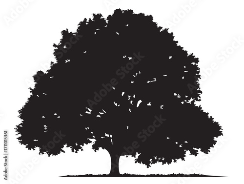 Decorative Hazelnut Tree Silhouette Illustration for Rustic Forest Artwork