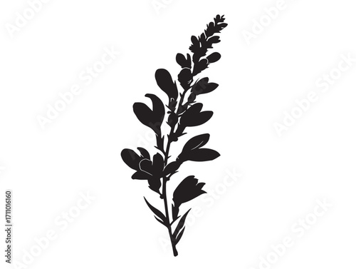 Charming Heather Flower Silhouette Vector Illustration for Stock Art