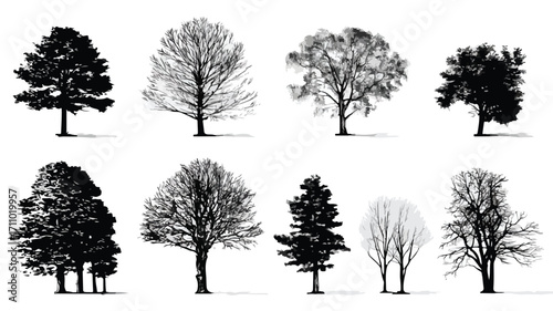 Various Deciduous Trees Silhouettes on White Background for Landscape Design