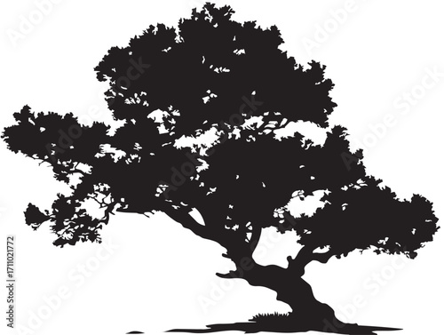 Stunning juniper tree silhouette vector artwork for design use