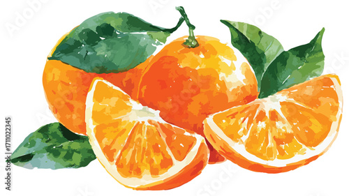 Vintage Watercolor Orange Fruit Isolated on White Background