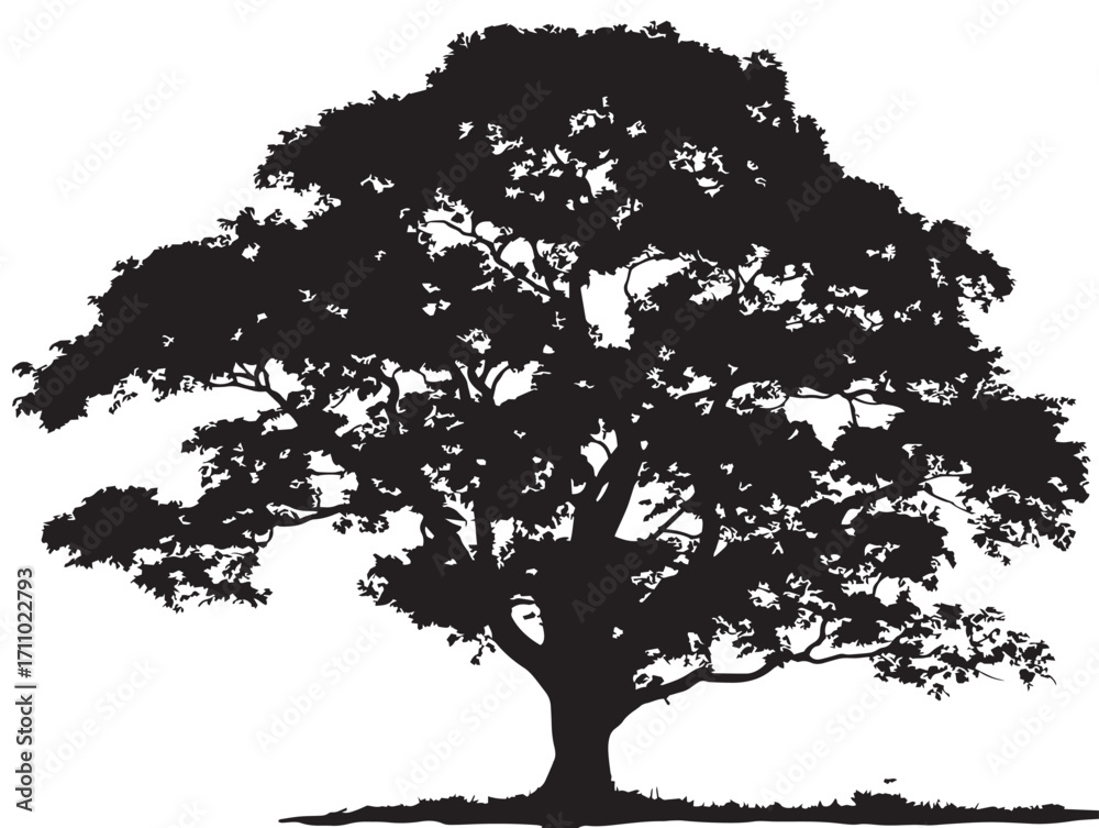 Fototapeta premium Detailed kapok tree silhouette in beautiful botanical vector form