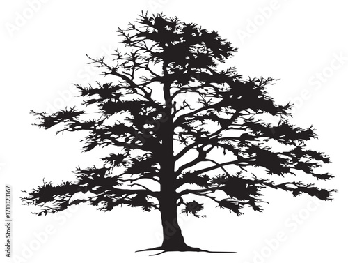 Beautiful larch tree silhouette artwork in decorative vector design