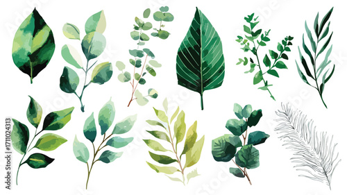 Exquisite Watercolor Set of Lush Green Leaves and Branches Illustration