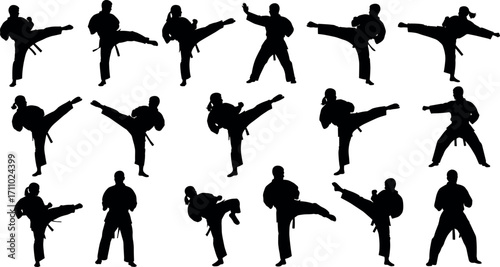 Silhouettes of Martial Artists Performing High Kicks and Poses in Traditional Gi Uniforms for Karate, Taekwondo, Combat, and Training Concepts