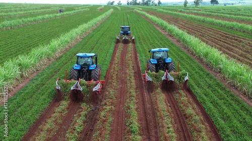 Machines working on peanut arrangement 2