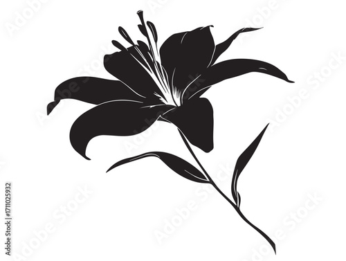 Beautiful lily flower silhouette vector illustration design