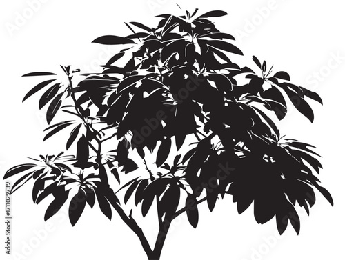 Natural mango tree leafy silhouette decorative vector illustration