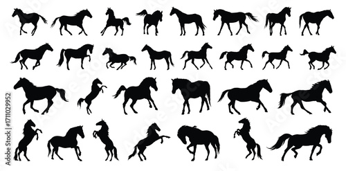 horse silhouette set. horse different poses isolated farm animal silhouette icon vector collection