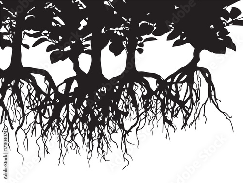 Scenic mangrove aerial roots silhouette vector illustration artwork