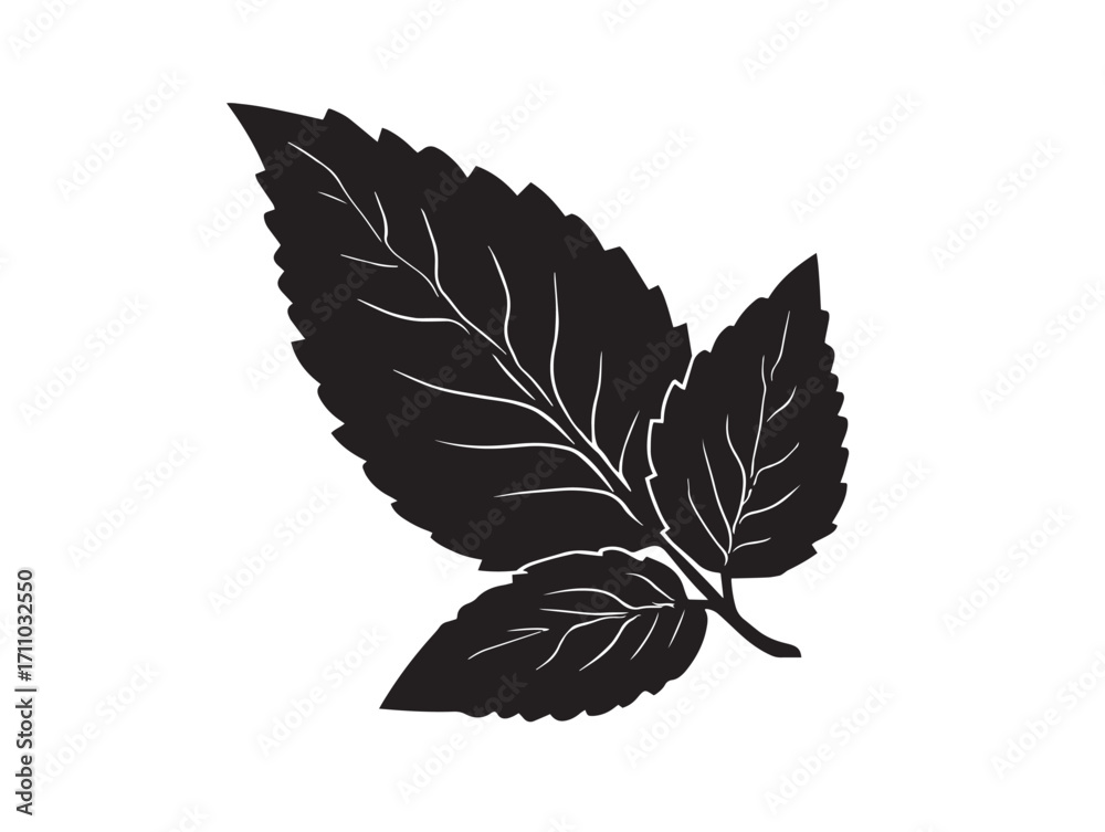 Fototapeta premium Fresh mint leaf silhouette design for herbal artwork concepts