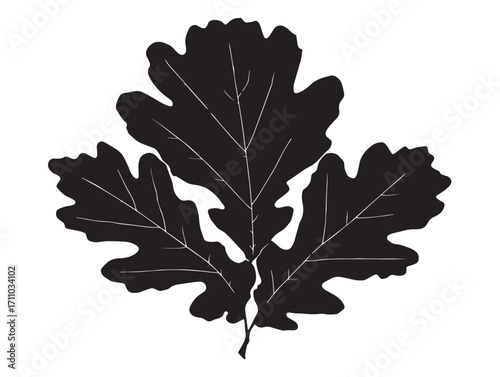 Detailed oak leaf silhouette artwork for creative graphic design