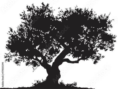 Ancient olive tree silhouette vector illustration for rustic themes