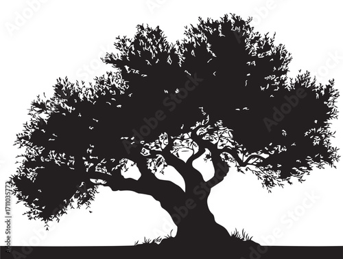 Majestic olive tree silhouette artwork for Mediterranean-inspired designs