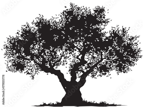Timeless olive tree ancient silhouette illustration for natural decoration