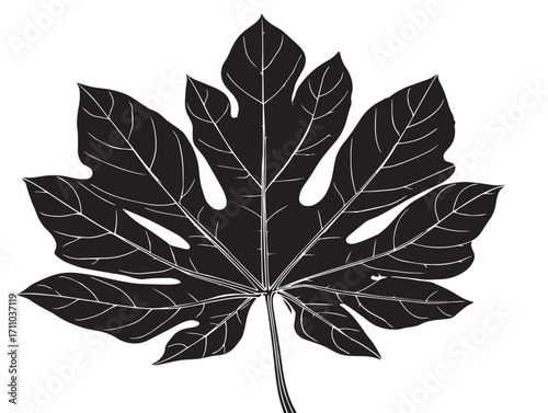 Natural papaya leaf silhouette illustration with tropical detail