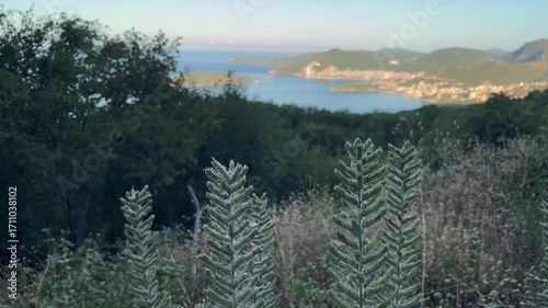A panoramic view from the top of a mountain hill overlooking a beautiful bay with a coastal town. Lush, exotic vegetation blooms in the foreground