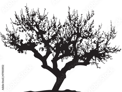 Exotic peach tree silhouette illustration for botanical themes
