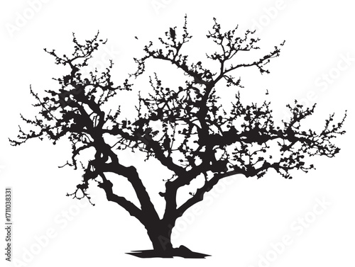 Elegant peach tree silhouette vector artwork for exotic design